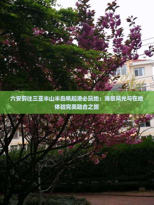六安前往三亚半山半岛帆船港必玩地：海景风光与在地体验完美融合之旅