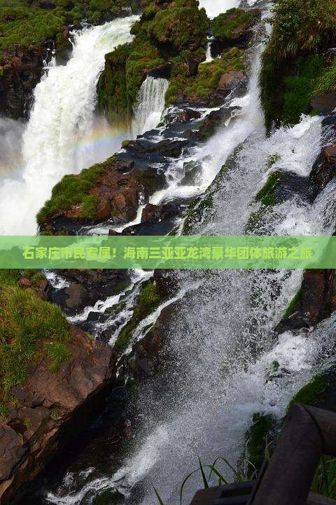 石家庄市民专属！海南三亚亚龙湾豪华团体旅游之旅