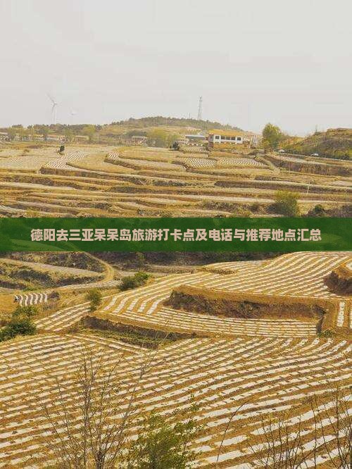 德阳去三亚呆呆岛旅游打卡点及电话与推荐地点汇总