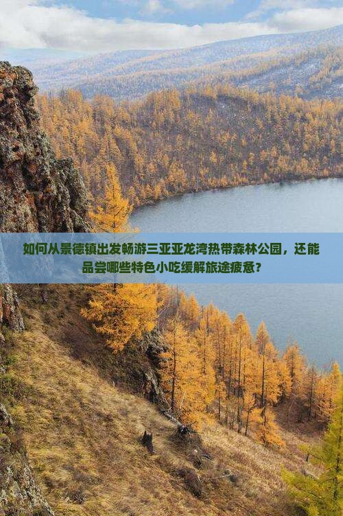 如何从景德镇出发畅游三亚亚龙湾热带森林公园，还能品尝哪些特色小吃缓解旅途疲惫？