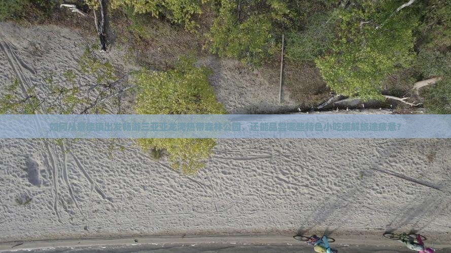 如何从景德镇出发畅游三亚亚龙湾热带森林公园，还能品尝哪些特色小吃缓解旅途疲惫？