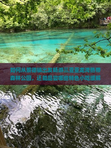 如何从景德镇出发畅游三亚亚龙湾热带森林公园，还能品尝哪些特色小吃缓解旅途疲惫？