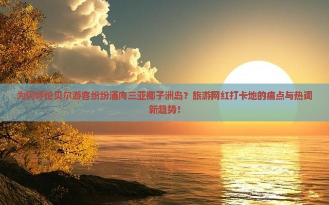 为何呼伦贝尔游客纷纷涌向三亚椰子洲岛？旅游网红打卡地的痛点与热词新趋势！