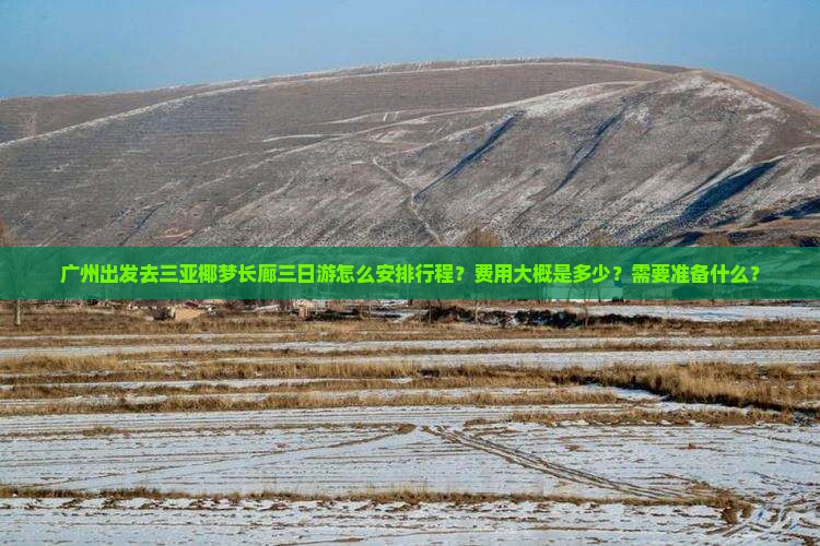 广州出发去三亚椰梦长廊三日游怎么安排行程？费用大概是多少？需要准备什么？