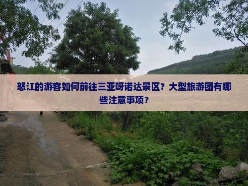 怒江的游客如何前往三亚呀诺达景区？大型旅游团有哪些注意事项？