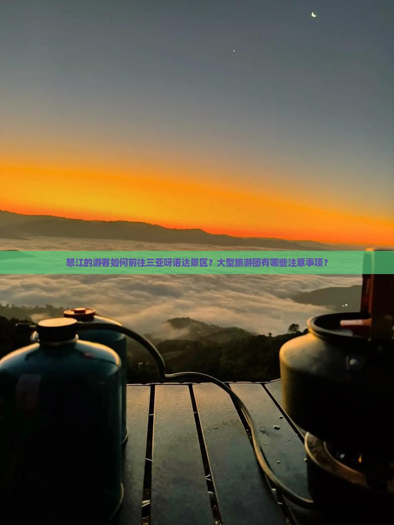 怒江的游客如何前往三亚呀诺达景区？大型旅游团有哪些注意事项？