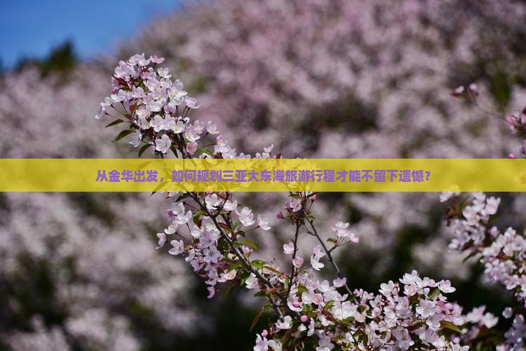 从金华出发，如何规划三亚大东海旅游行程才能不留下遗憾？