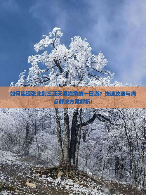 如何实现张北到三亚天涯海角的一日游？快速攻略与痛点解决方案解析！