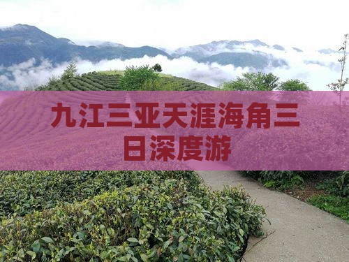 九江三亚天涯海角三日深度游
