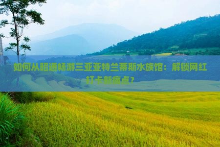 如何从昭通畅游三亚亚特兰蒂斯水族馆：解锁网红打卡新痛点？