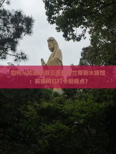 如何从昭通畅游三亚亚特兰蒂斯水族馆：解锁网红打卡新痛点？