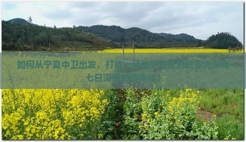 如何从宁夏中卫出发，打造一场说走就走的三亚大东海七日深度游新体验？