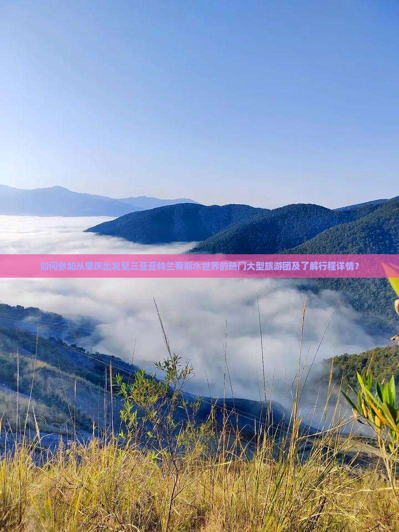 如何参加从肇庆出发至三亚亚特兰蒂斯水世界的热门大型旅游团及了解行程详情？