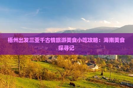 梧州出发三亚千古情旅游美食小吃攻略：海南美食探寻记