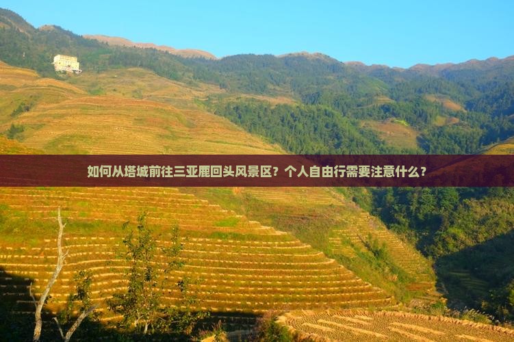 如何从塔城前往三亚鹿回头风景区？个人自由行需要注意什么？
