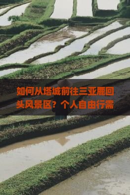 如何从塔城前往三亚鹿回头风景区？个人自由行需要注意什么？