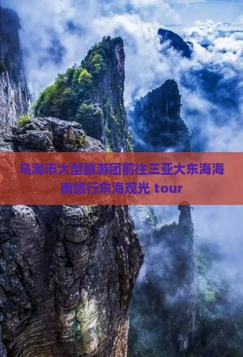 乌海市大型旅游团前往三亚大东海海南旅行东海观光 tour