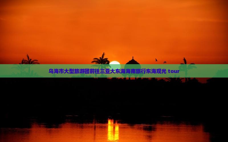 乌海市大型旅游团前往三亚大东海海南旅行东海观光 tour