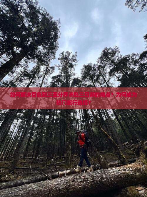 如何解决百色到三亚分界洲岛三日游的痛点？为何成为热门旅行选择？