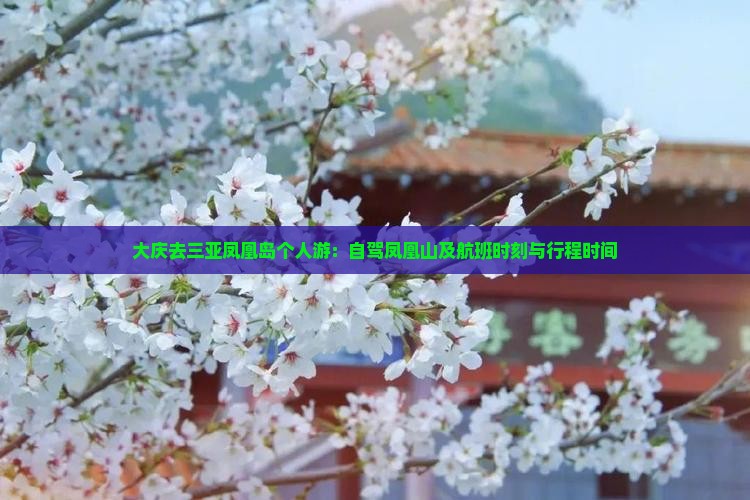 大庆去三亚凤凰岛个人游：自驾凤凰山及航班时刻与行程时间