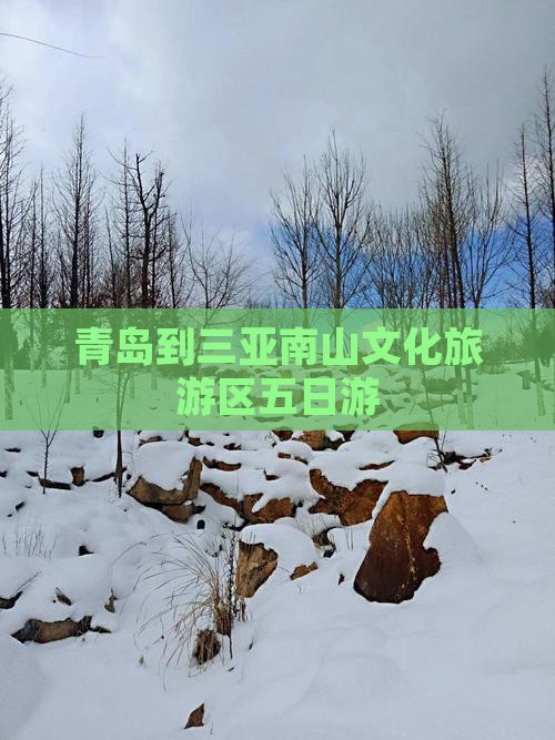 青岛到三亚南山文化旅游区五日游