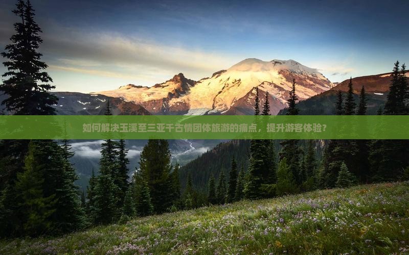 如何解决玉溪至三亚千古情团体旅游的痛点，提升游客体验？