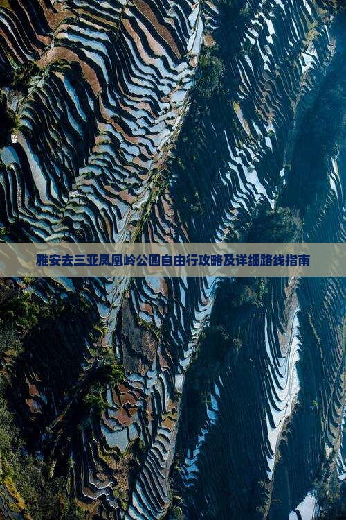 雅安去三亚凤凰岭公园自由行攻略及详细路线指南