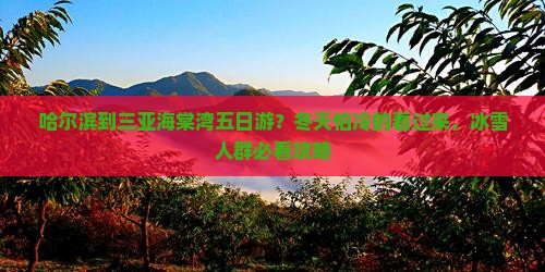 哈尔滨到三亚海棠湾五日游？冬天怕冷的看过来，冰雪人群必看攻略