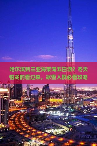 哈尔滨到三亚海棠湾五日游？冬天怕冷的看过来，冰雪人群必看攻略
