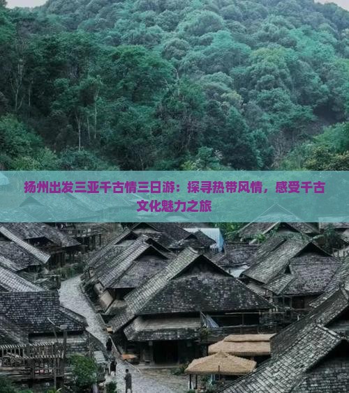 扬州出发三亚千古情三日游：探寻热带风情，感受千古文化魅力之旅