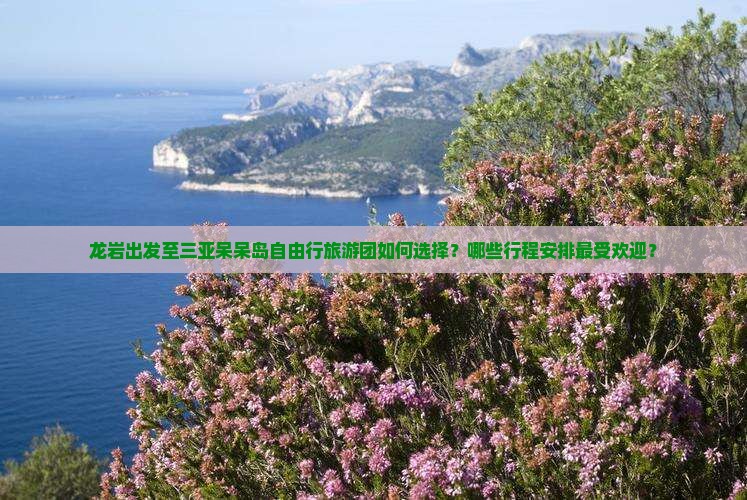 龙岩出发至三亚呆呆岛自由行旅游团如何选择？哪些行程安排最受欢迎？