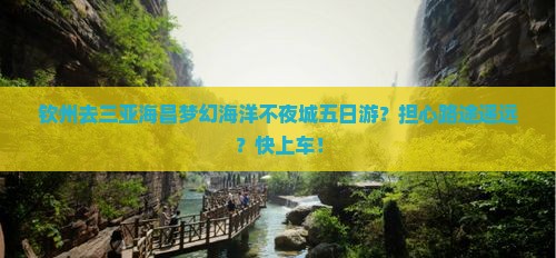 钦州去三亚海昌梦幻海洋不夜城五日游？担心路途遥远？快上车！