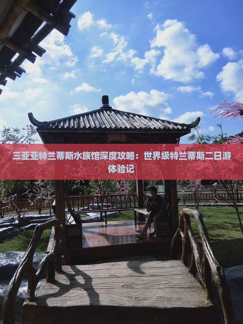 三亚亚特兰蒂斯水族馆深度攻略：世界级特兰蒂斯二日游体验记