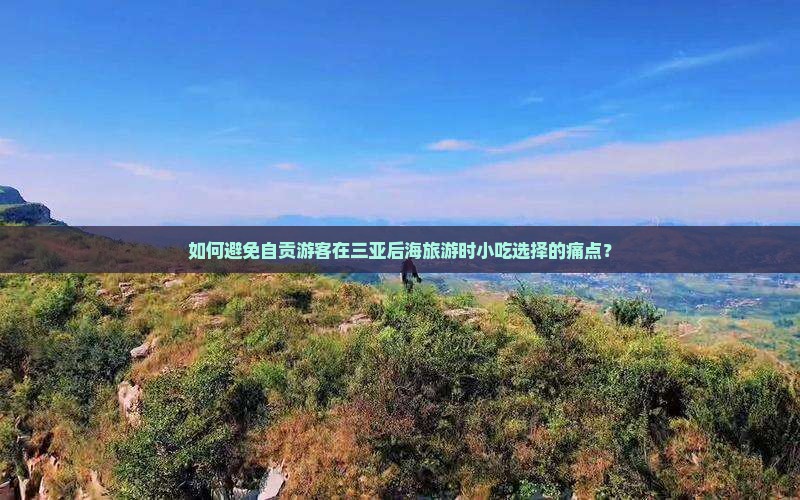 如何避免自贡游客在三亚后海旅游时小吃选择的痛点？