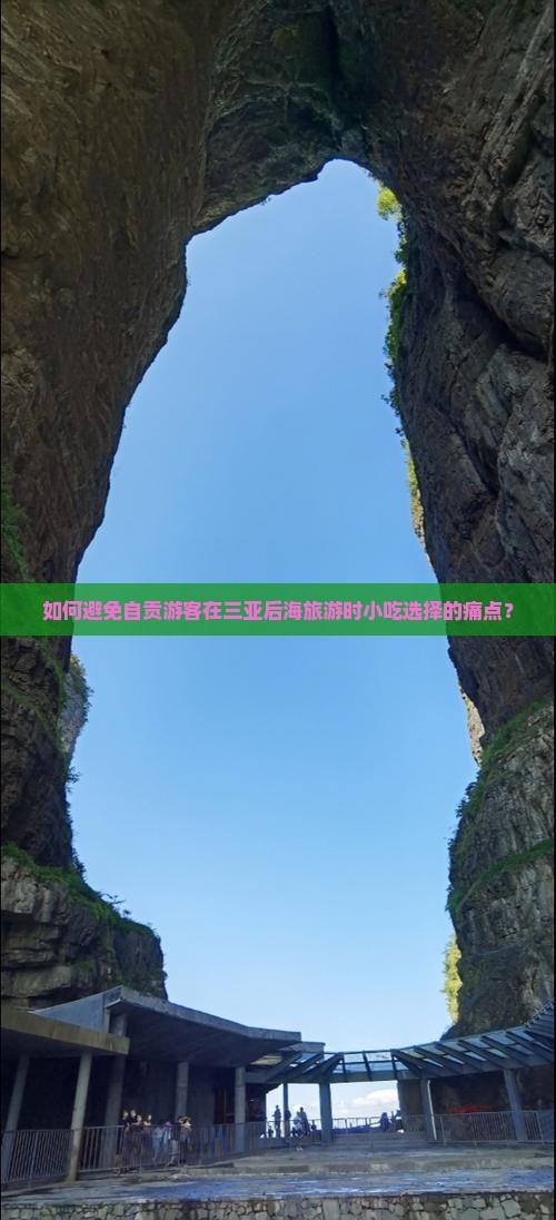 如何避免自贡游客在三亚后海旅游时小吃选择的痛点？