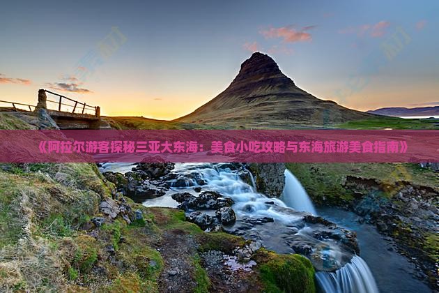 《阿拉尔游客探秘三亚大东海：美食小吃攻略与东海旅游美食指南》