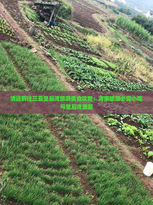 清远前往三亚皇后湾旅游美食攻略：海南旅游必尝小吃与皇后湾美景