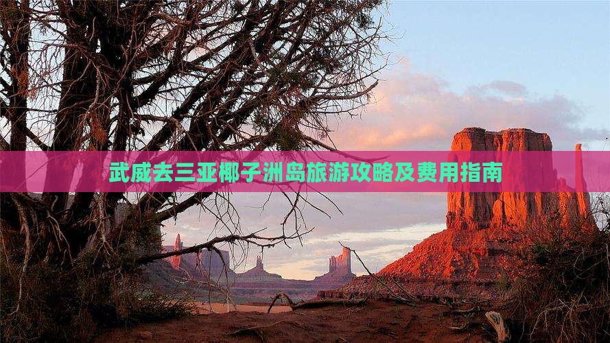 武威去三亚椰子洲岛旅游攻略及费用指南
