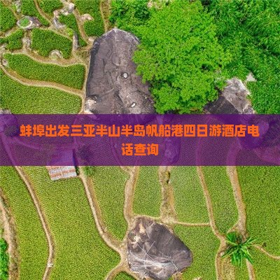 蚌埠出发三亚半山半岛帆船港四日游酒店电话查询