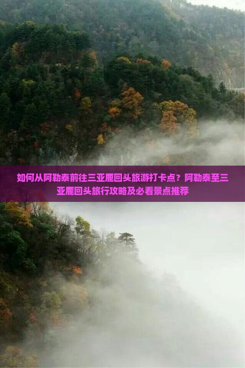 如何从阿勒泰前往三亚鹿回头旅游打卡点？阿勒泰至三亚鹿回头旅行攻略及必看景点推荐