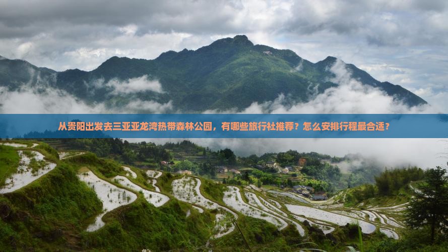 从贵阳出发去三亚亚龙湾热带森林公园，有哪些旅行社推荐？怎么安排行程最合适？