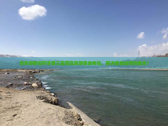 安庆游客如何享受三亚西岛旅游美食体验，解决美食选择的痛点？