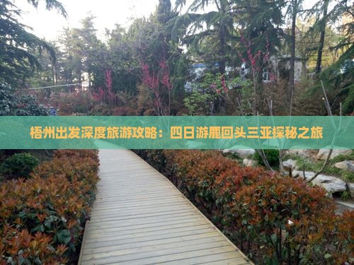 梧州出发深度旅游攻略：四日游鹿回头三亚探秘之旅
