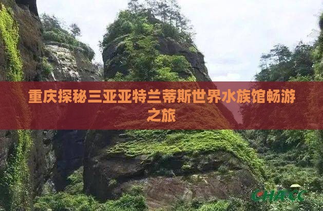 重庆探秘三亚亚特兰蒂斯世界水族馆畅游之旅