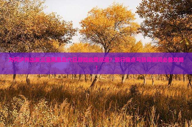 为何泸州出发三亚凤凰岛六日游如此受欢迎？旅行痛点与热词新词必备攻略！