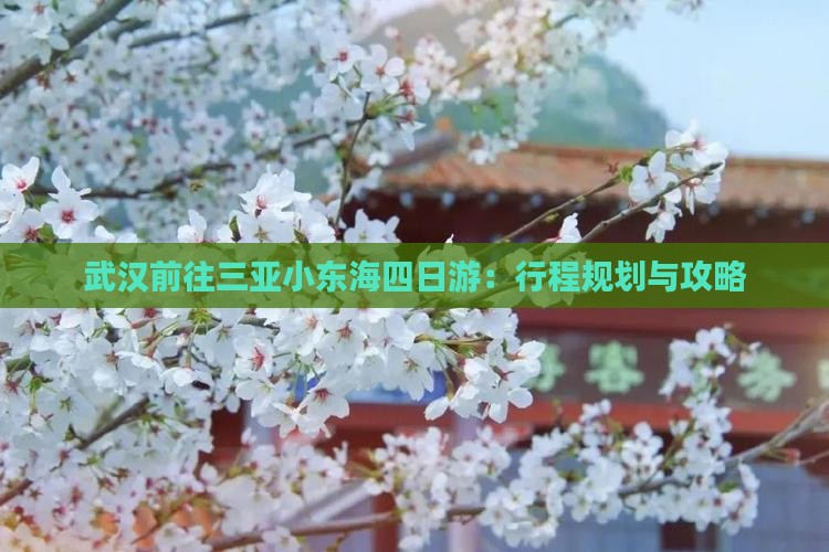武汉前往三亚小东海四日游：行程规划与攻略
