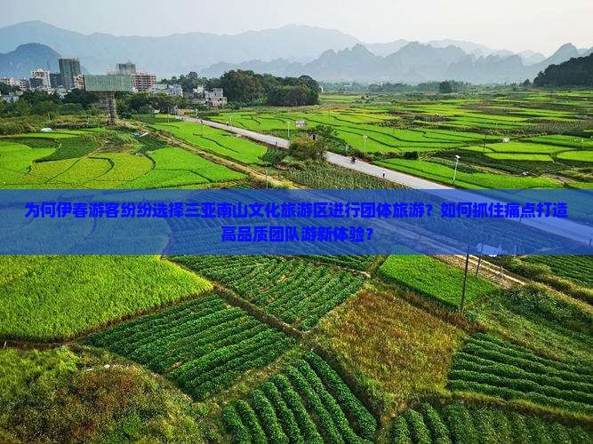 为何伊春游客纷纷选择三亚南山文化旅游区进行团体旅游？如何抓住痛点打造高品质团队游新体验？