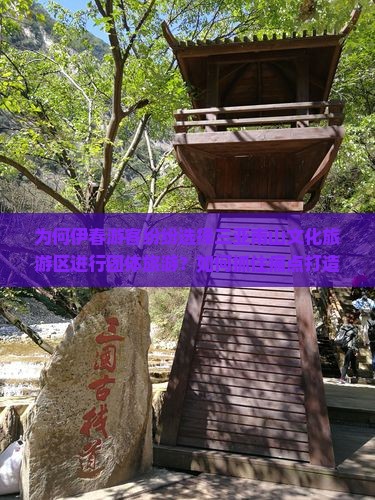 为何伊春游客纷纷选择三亚南山文化旅游区进行团体旅游？如何抓住痛点打造高品质团队游新体验？