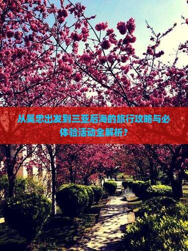 从吴忠出发到三亚后海的旅行攻略与必体验活动全解析？