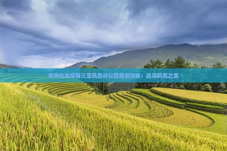 苏州出发探秘三亚凤凰岭公园旅游攻略：追寻凤凰之美